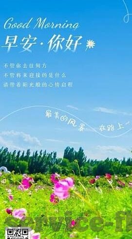 世界足球比分介绍-绿茵场上的数字密码，世界足球比分背后的竞技美学与文化密码